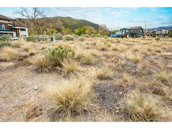 230 River Ridge, Salida, CO 81201