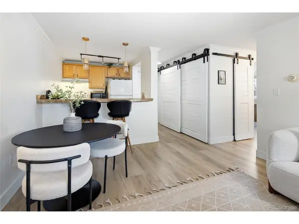 1125 N Washington #307, Denver, CO 80203