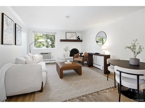 1125 N Washington #307, Denver, CO 80203