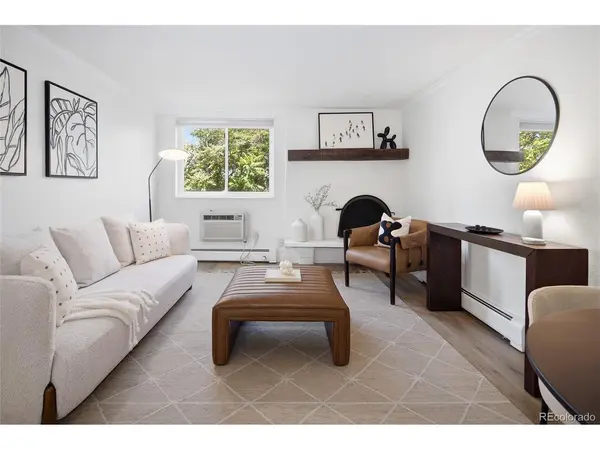 1125 N Washington #307, Denver, CO 80203