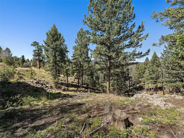 Lynx Lair, Evergreen, CO 80439