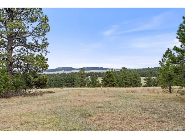 8653 N Teacup, Elbert, CO 80106