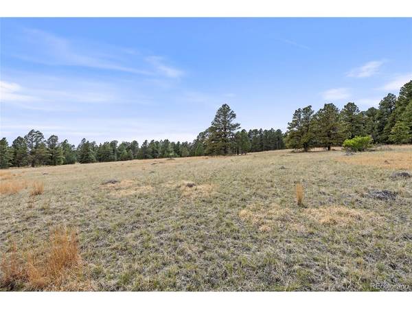 8653 N Teacup, Elbert, CO 80106