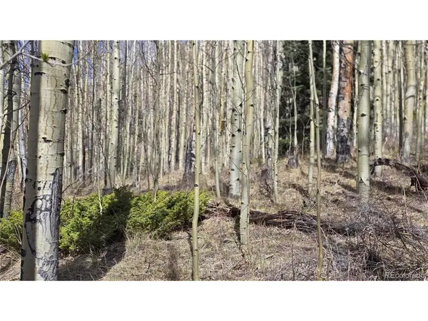 5902 Slegers, Fort Garland, CO 81133
