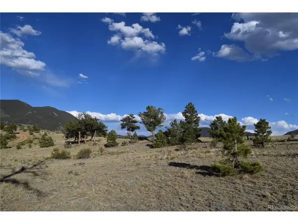 10682 Routt, Lake George, CO 80827