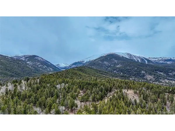 30176 Mountaintop, Buena Vista, CO 81211