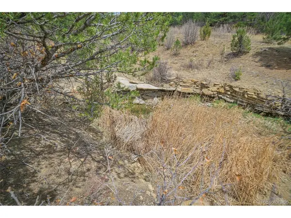 Address not disclosed, Weston, CO 81091