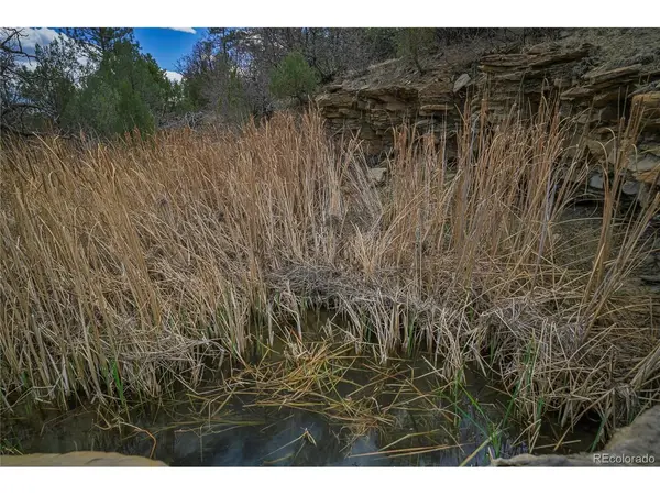 Address not disclosed, Weston, CO 81091