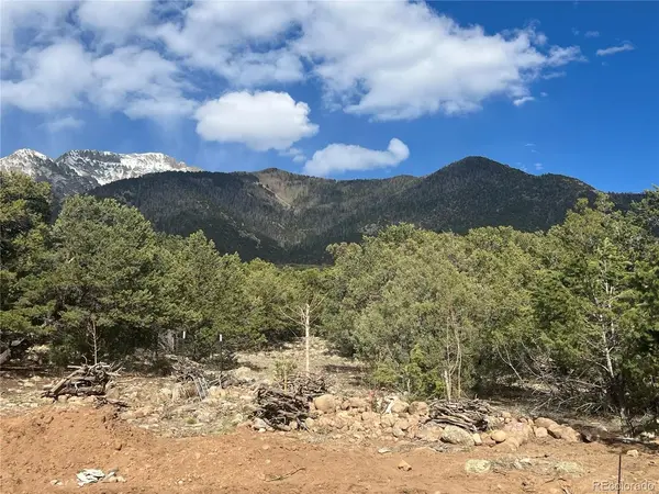 1794 Willow Creek, Crestone, CO 81131