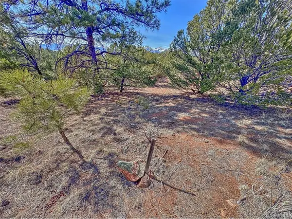 426 Arapaho, Westcliffe, CO 81252