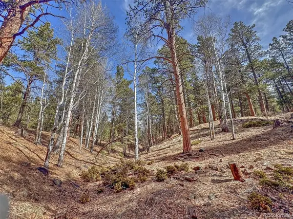 426 Arapaho, Westcliffe, CO 81252