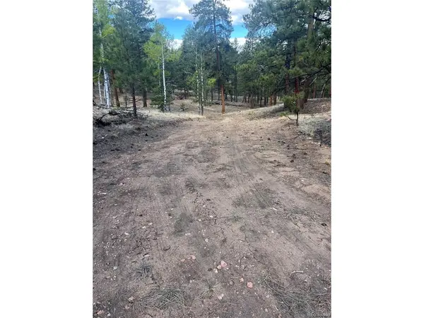 185 Sioux, Westcliffe, CO 81252