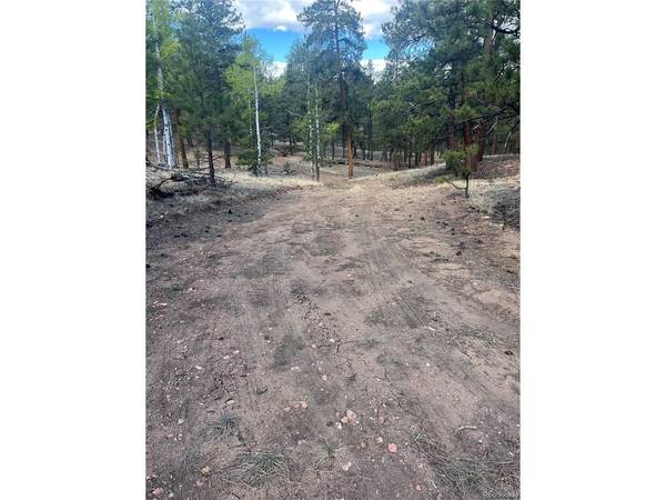185 Sioux, Westcliffe, CO 81252
