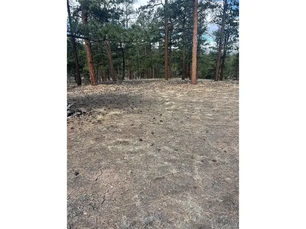 185 Sioux, Westcliffe, CO 81252