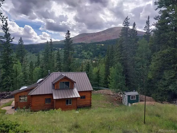 420 Nuthatch, Alma, CO 80420