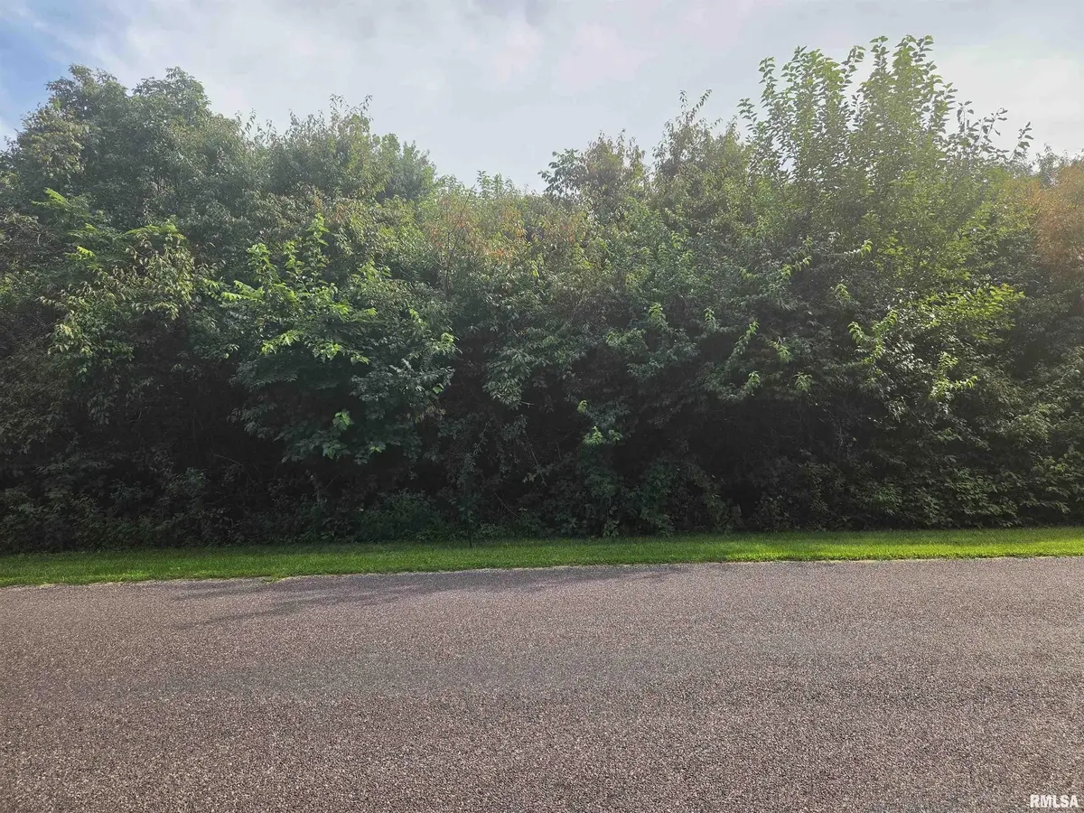 L58 HERITAGE DR, Mackinaw, IL 61755