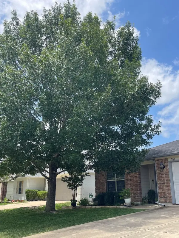 280 Spruce DR, Kyle, TX 78640