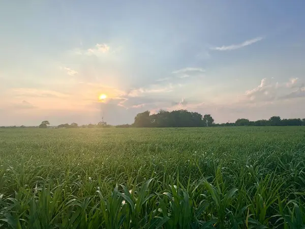 366 County Road 123, Buckholts, TX 76518