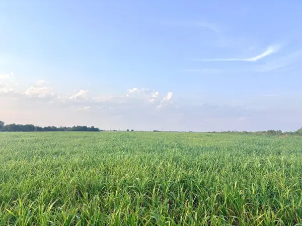 366 County Road 123, Buckholts, TX 76518