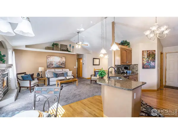 305 Cobble, Windsor, CO 80550