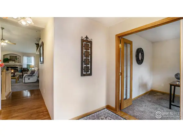 305 Cobble, Windsor, CO 80550