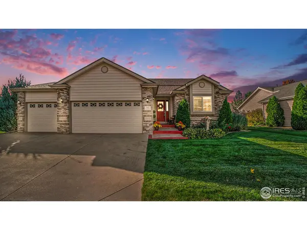 305 Cobble, Windsor, CO 80550