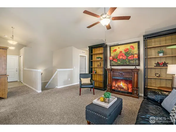 2102 Chianina, Mead, CO 80542