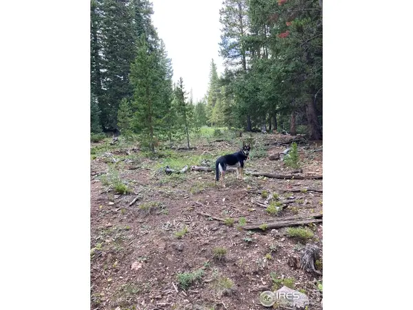 0 Forest Service 169, Red Feather Lakes, CO 80545