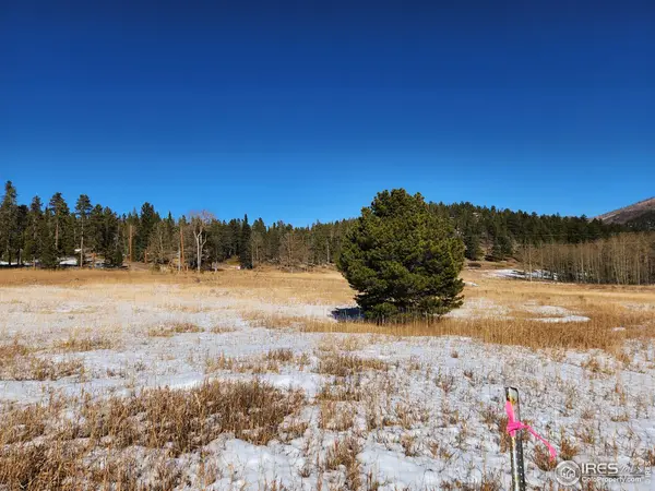 0 Arapahoe #Lot 19, Bellvue, CO 80512