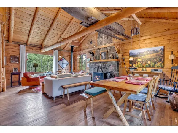 628 County Road 113S, Allenspark, CO 80540