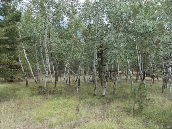738 Black Mesa, Florissant, CO 80816
