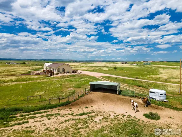 15873 Linton, Wellington, CO 80549