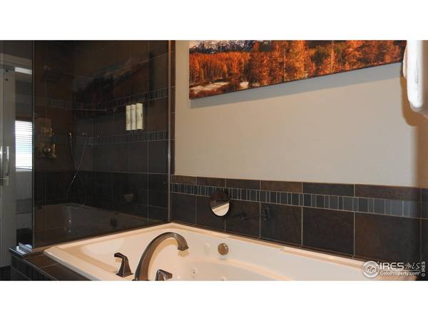 408 Overlook, Estes Park, CO 80517