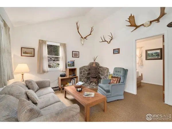 70 Black Hollow, Bellvue, CO 80512