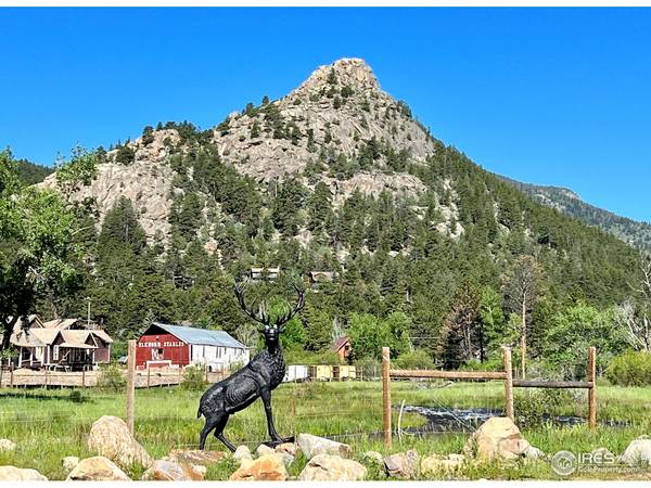 550 W Elkhorn #6, Estes Park, CO 80517