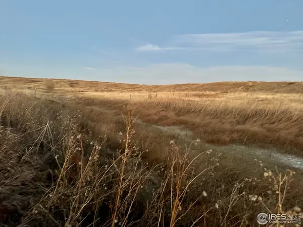 Nunn, CO 80648