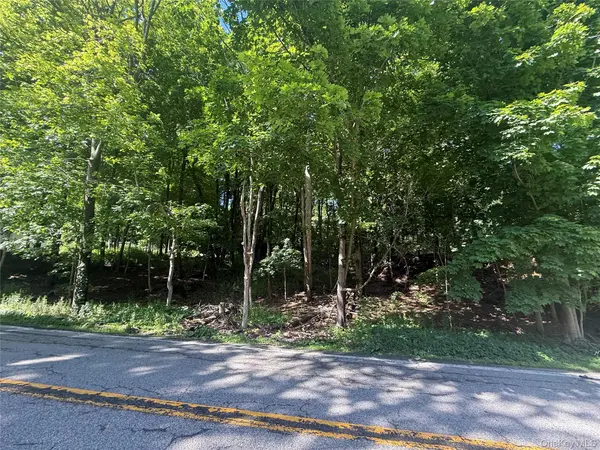 Rt-292, Holmes, NY 12531
