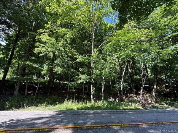 Rt-292, Holmes, NY 12531