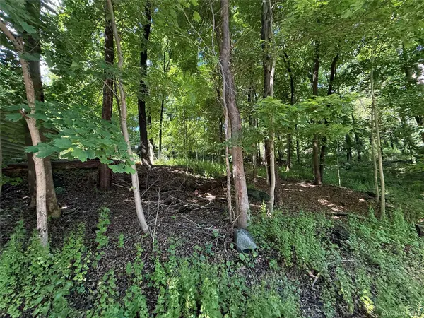Rt-292, Holmes, NY 12531