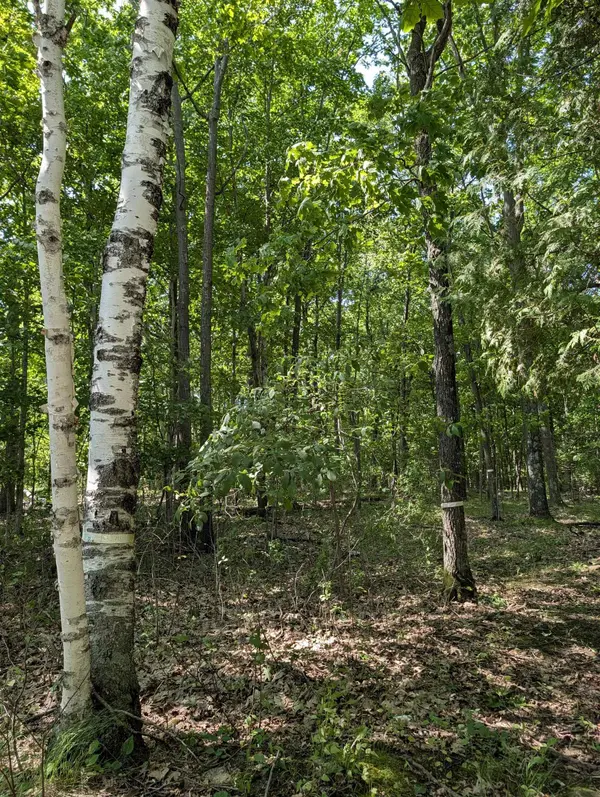 JACKSON HARBOR RD #2, Washington Island, WI 54246