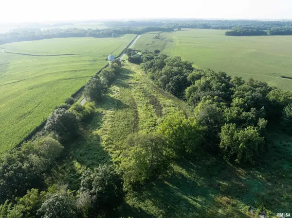 23139 N ARMSTRONG RD, Williamsfield, IL 61489