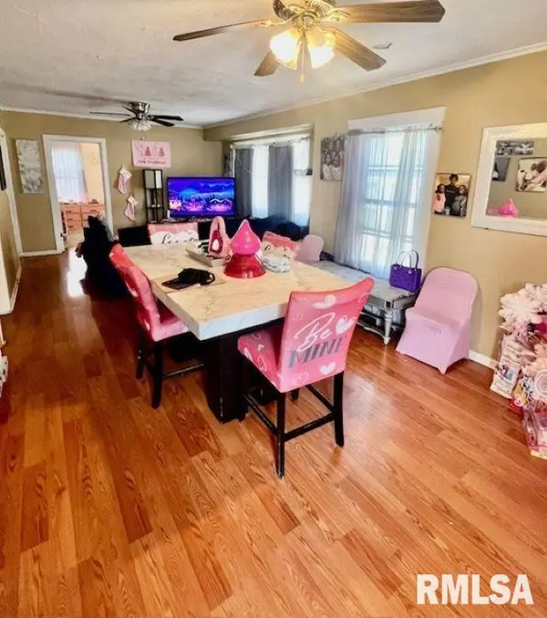 1207 W MCCLURE AVE, Peoria, IL 61604