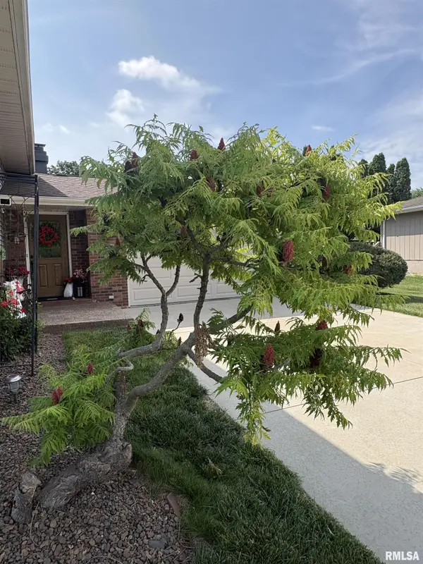 317 ARBOR VITAE DR, Germantown Hills, IL 61548