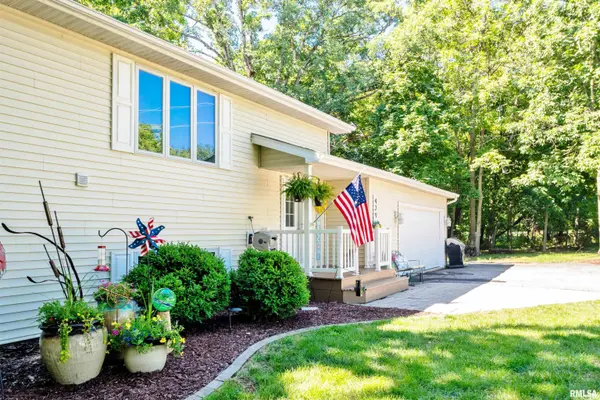 429 PLEASANT VIEW CIR, Dahinda, IL 61428