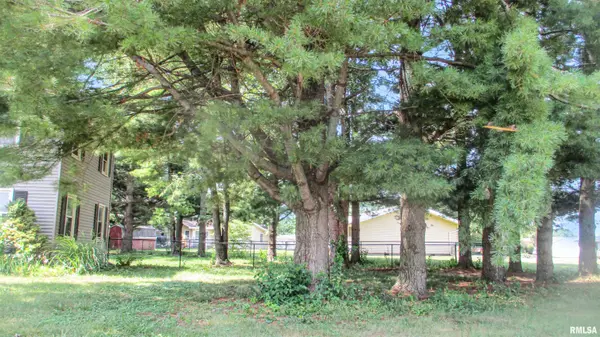 427 N CHICAGO AVE, Williamsfield, IL 61489
