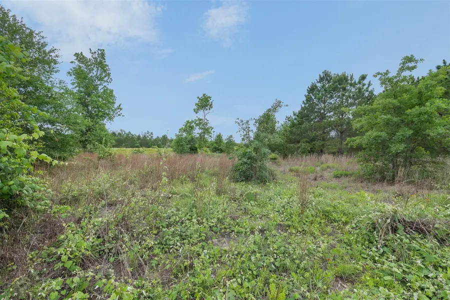 TBD Lot 20c County RD, Bastrop, TX 78602