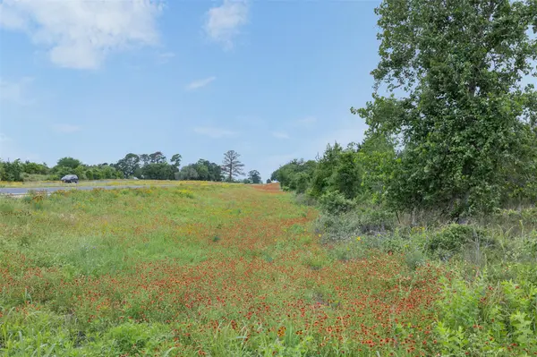 TBD Lot 20c County RD, Bastrop, TX 78602