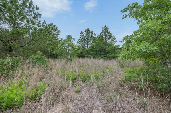 TBD Lot 20c County RD, Bastrop, TX 78602