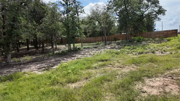 160 Los Robles RD, Elgin, TX 78621