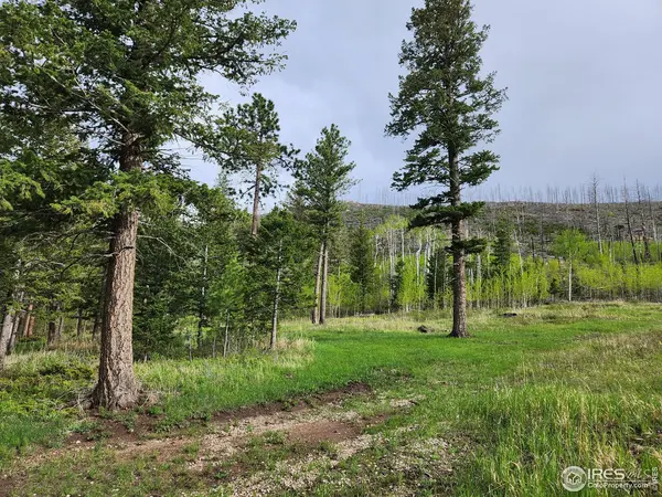 1257 Mount Ethel, Bellvue, CO 80512